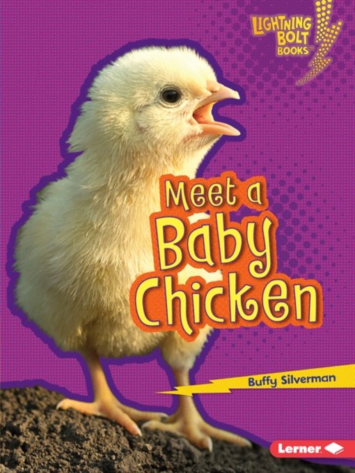 Title details for Meet a Baby Chicken by Buffy Silverman - Wait list